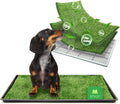 Dog Grass Pad with Tray 31x21 in Medium Litter Box - Indoor Potty