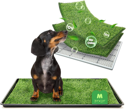 Dog Grass Pad with Tray for Indoor Potty Training and More