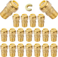 20-Pack Pushfit Male Adapter 1/2 in MNPT x 1/2 in Push to Connect