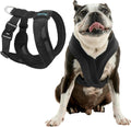 Gooby Comfort X One Dog Harness - Escape-Free, Choke-Free Fit