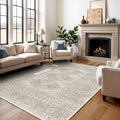 5x7 Area Rugs for Living Room: Washable Oriental Rug for Home
