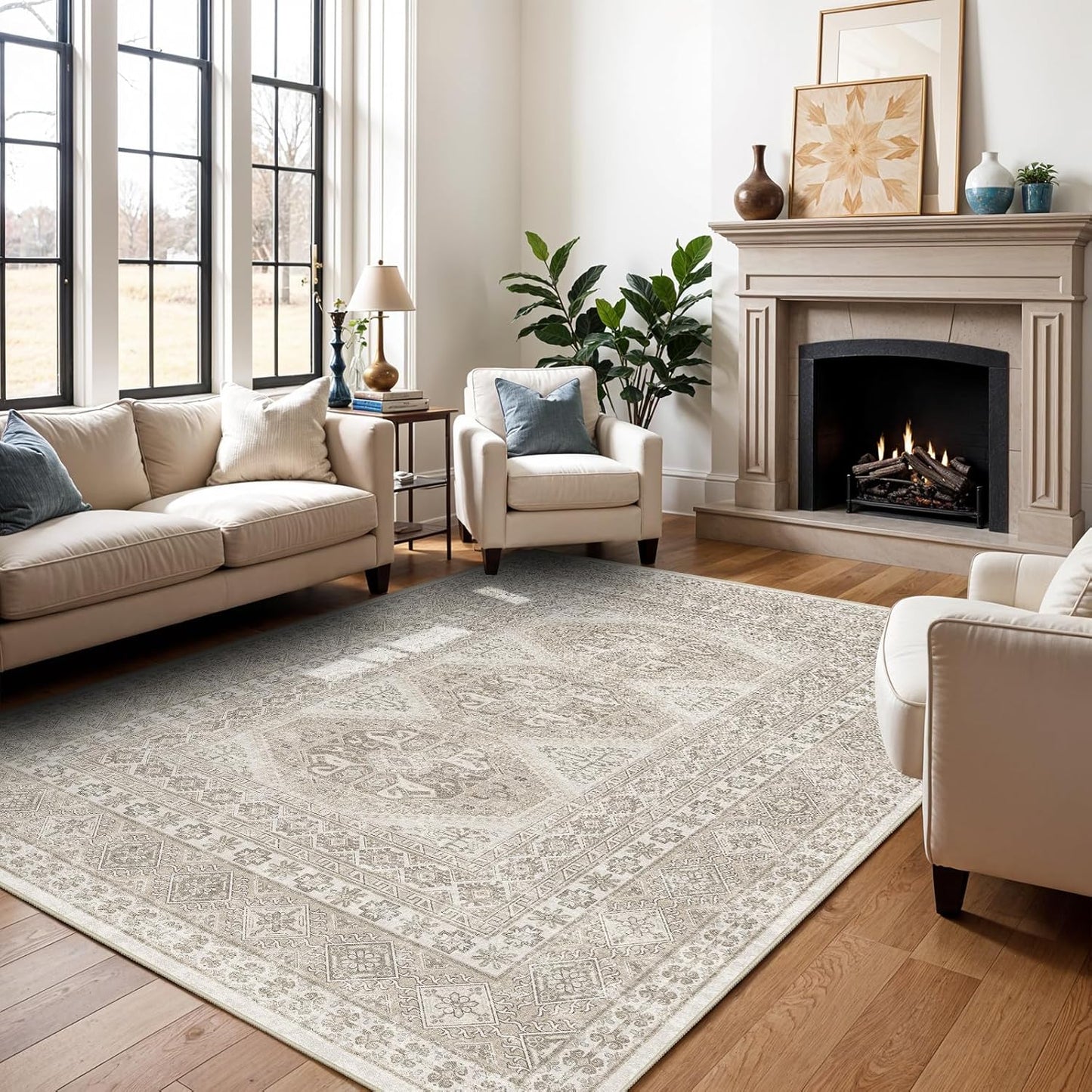 5x7 Area Rugs for Living Room: Washable Oriental Rug for Home