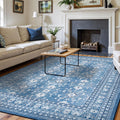 5x7 Area Rugs for Living Room - Vintage Blue Distressed Floral