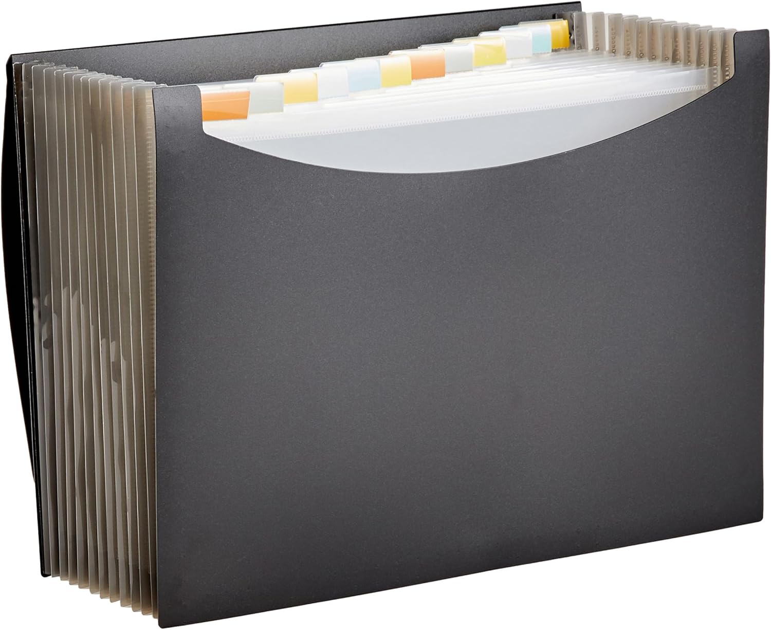 Organize with Ease:  Basics File Folder
