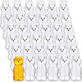 Honey Bear Bottles 36 Pack 8 oz Clear Plastic Dispensers - Multipack