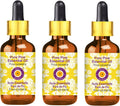 Pure Pine Essential Oil 100ml x 3 - Steam Distilled Pinus sylvestris