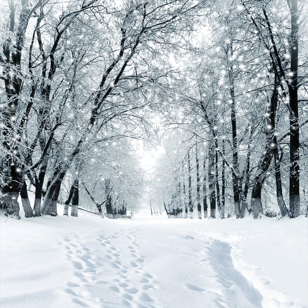 SJOLOON Winter Backdrop Snow Photography Backdrop 10x10FT