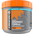 Gatorade Endurance Formula Powder Orange - Electrolytes for Long