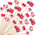 Valentine's Day Heart Toothpicks - 100 Bamboo Picks