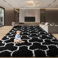 EVOIONOS 7x10 Washable Large Area Rug - Ultra Soft Plush Shag