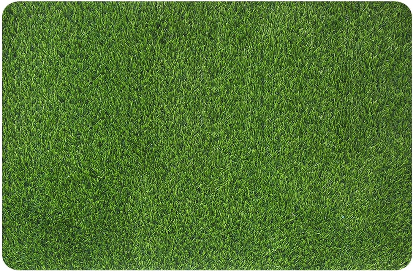 MAYSHINE Green Turf Rug - Indoor/Outdoor Dog Potty Training Mat