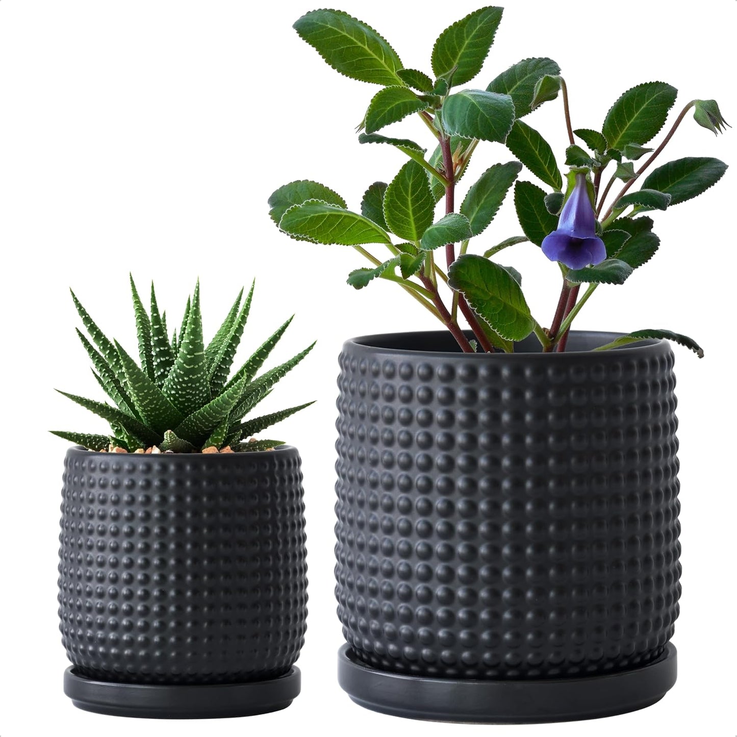 D'vine Dev Ceramic Indoor Planter Pots Set of 2 with Drainage