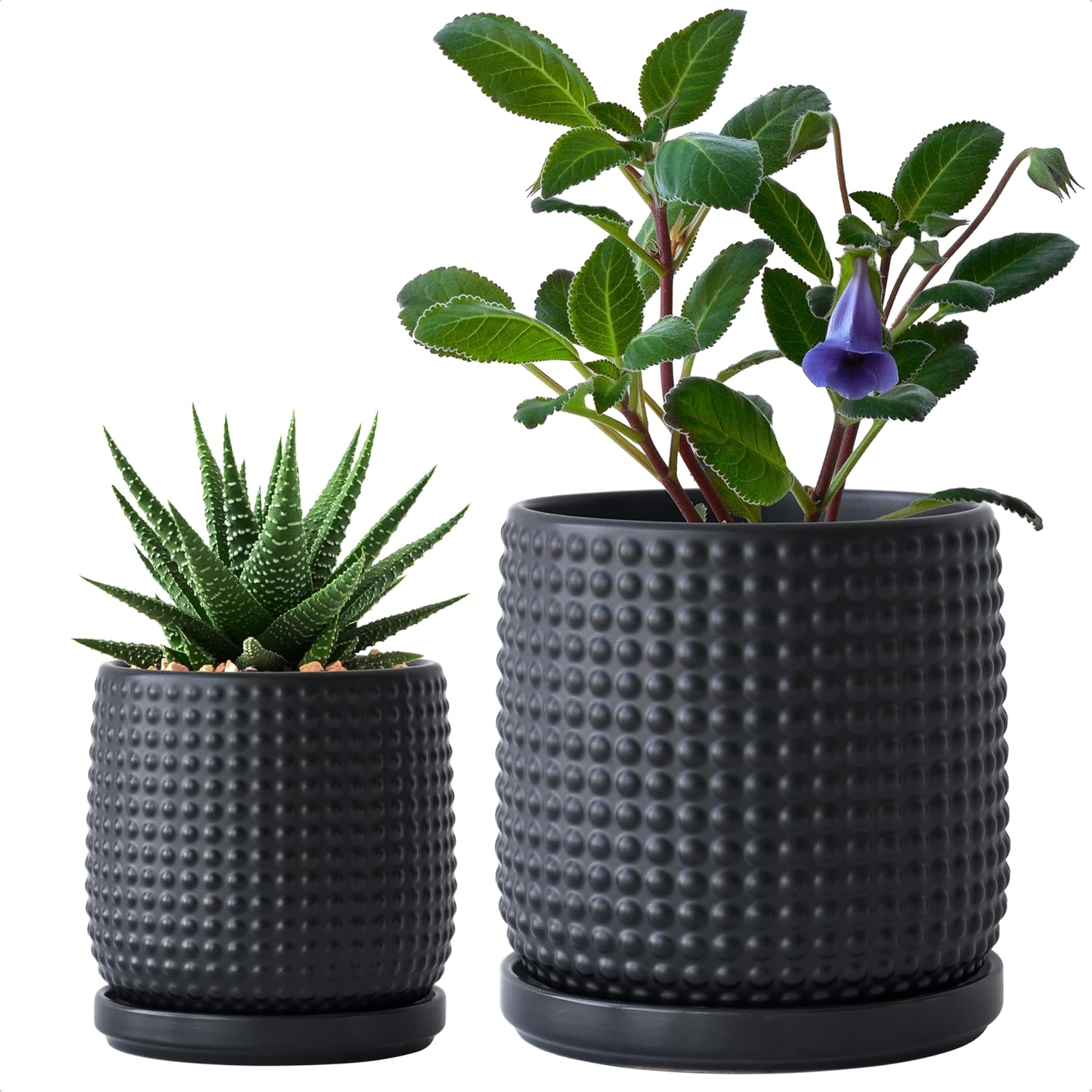 D'vine Dev Ceramic Indoor Planter Pots Set of 2 with Drainage