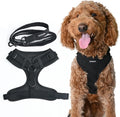 No-Pull No-Choke Dog Harness & Leash Set - Lightweight Comfort
