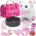 Interactive Walking Cat Toy Set - Ideal Gift for Little Girls