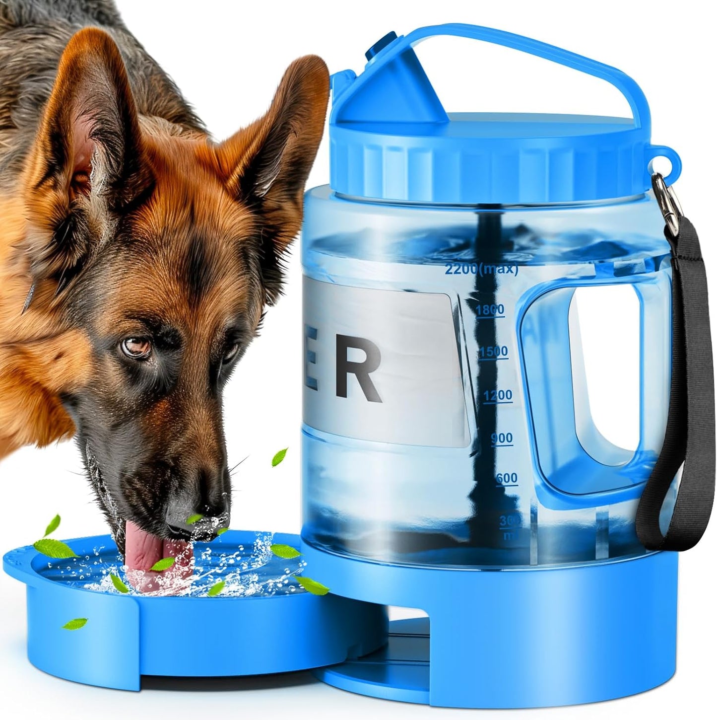 77oz Large Dog Water Bottle for Travel & Outdoor Adventures
