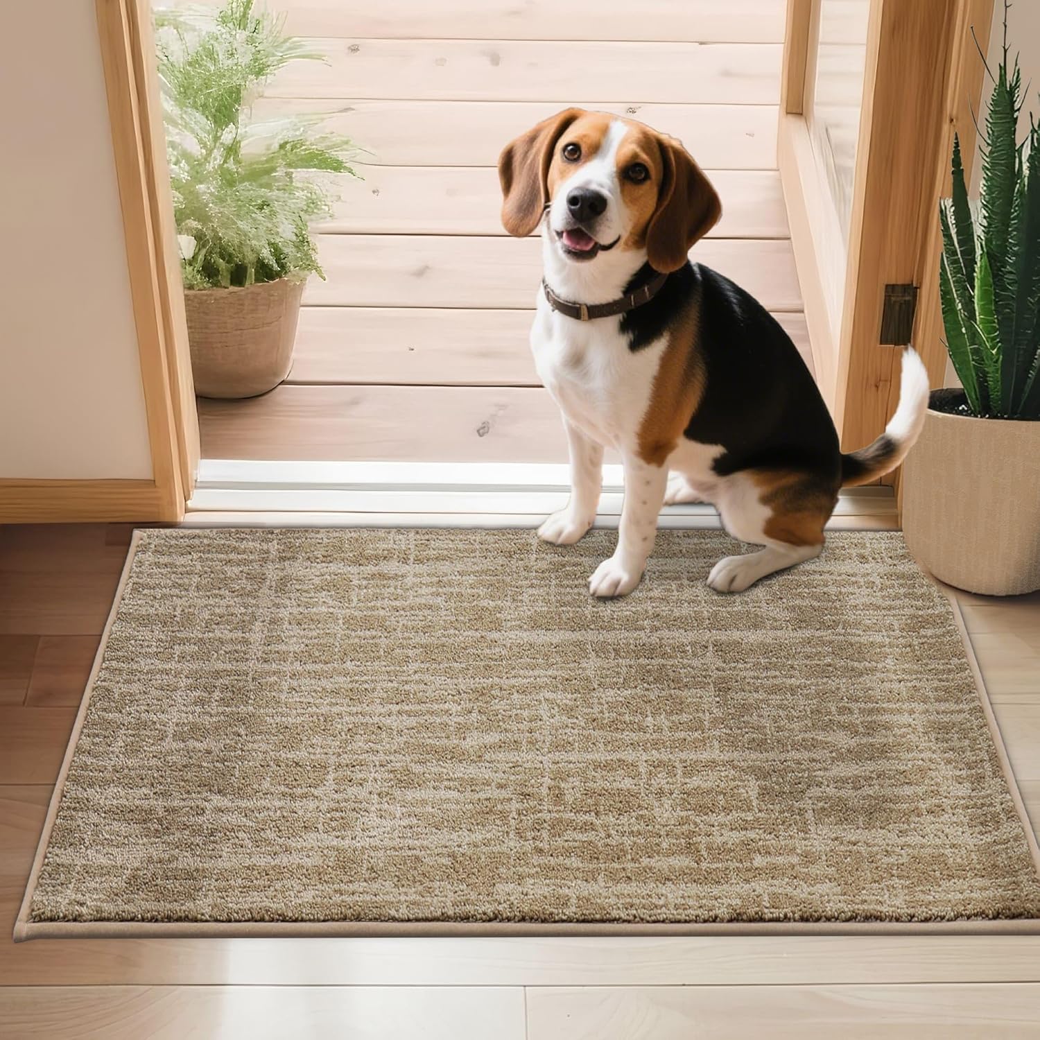 COSY HOMEER Door Mat Dirt Trapper Entryway Rug 24x36 Non Slip