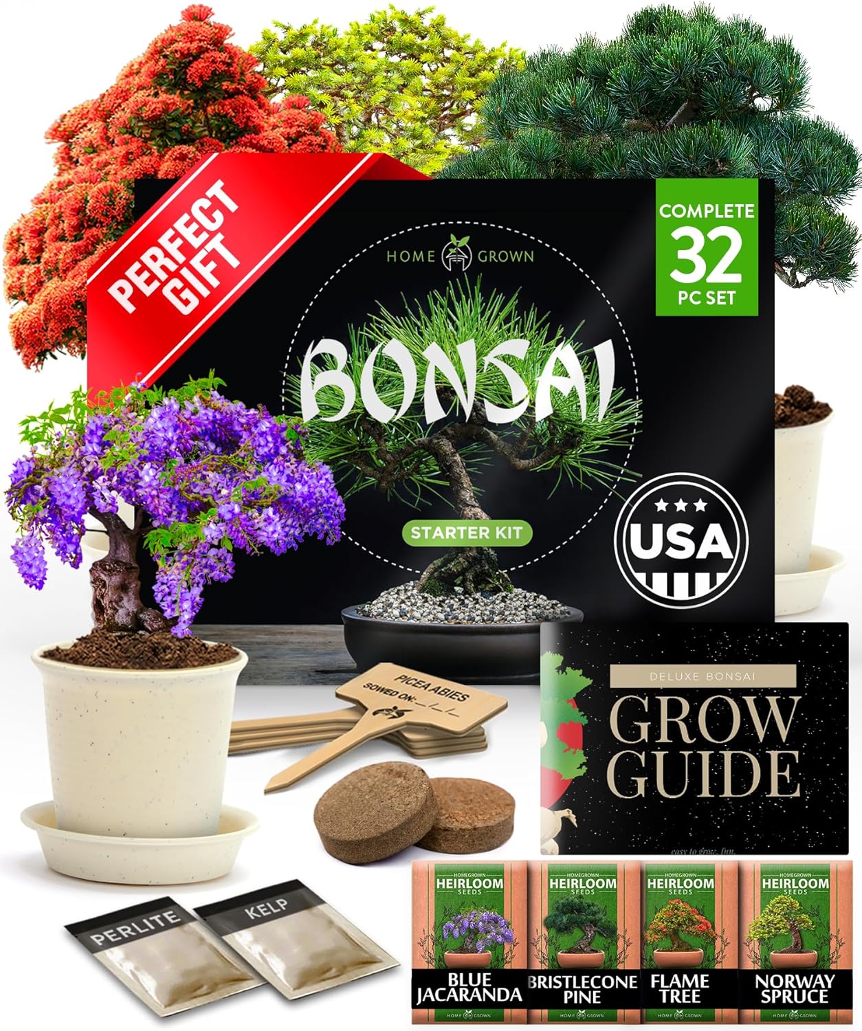 Bonsai Tree Kit for Unique Gardening Crafts and DIY Hobbies