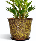 Ceramic Pots for Plants 10 in Round Planter - Durable Indoor Outdoor