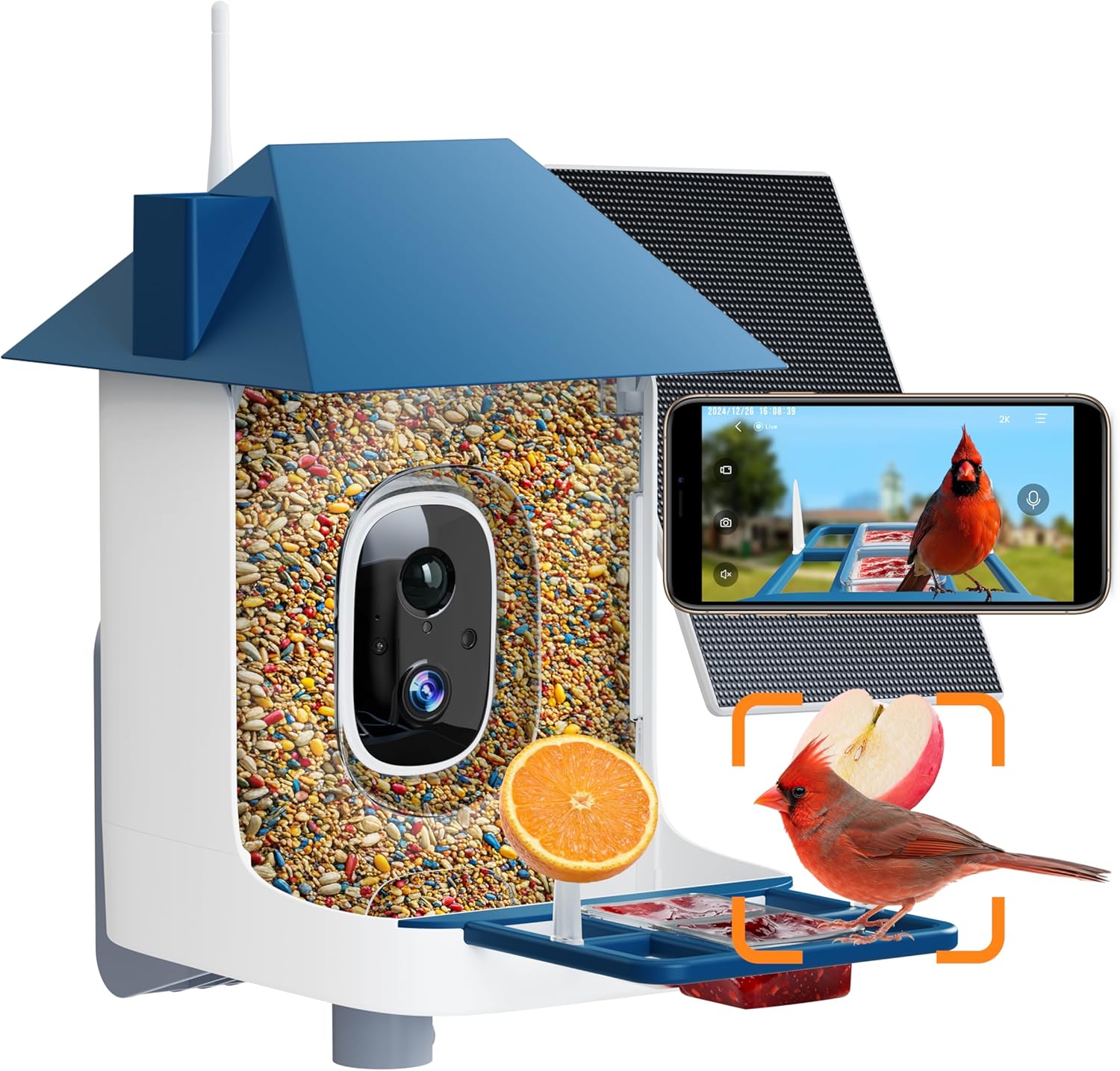 AI Smart Bird Feeder with 2K Camera - Identify 11K Birds!