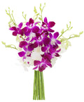 Exotic Opal Orchid Bouquet of Purple and White Orchids - Long-Lasting