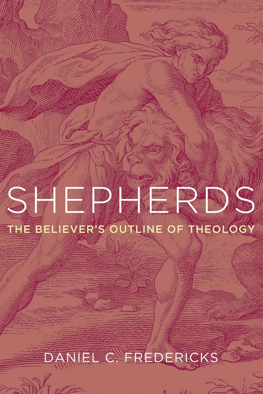 Shepherds: The Believer's Outline of Theology Review