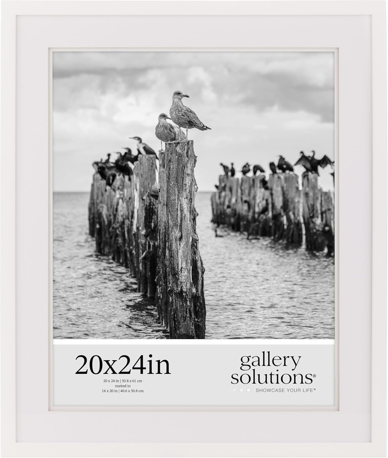 20x24 White Frame with Double Mat for 16x20 Photos Display