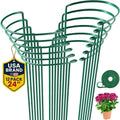 12 Pack Tall Snake Plant Support Stakes 10 in x 24 in - Stable Plant