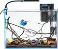 2.5 Gallon Nano Nature Aquarium Kit - Compact Desktop Tank