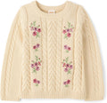 Gymboree Baby Boys and Toddler Long Sleeve Crew Neck Pullover Sweater