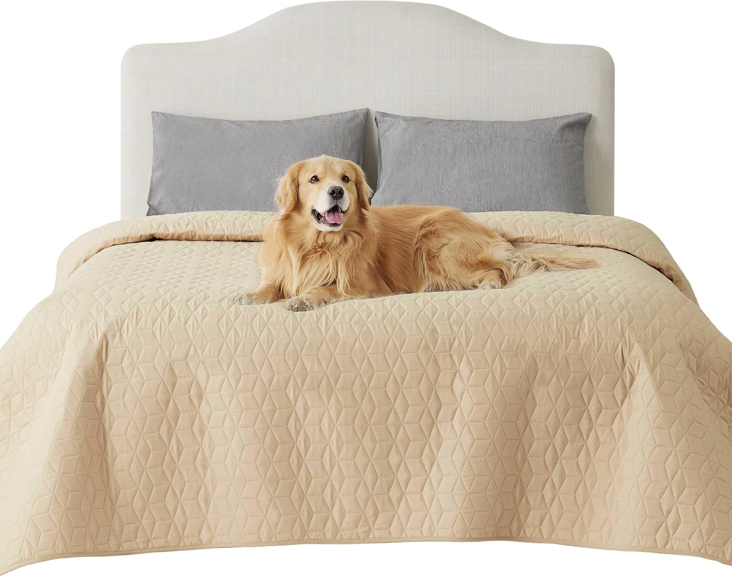 Waterproof Bed Cover for Dogs - Non Slip Furniture Protector