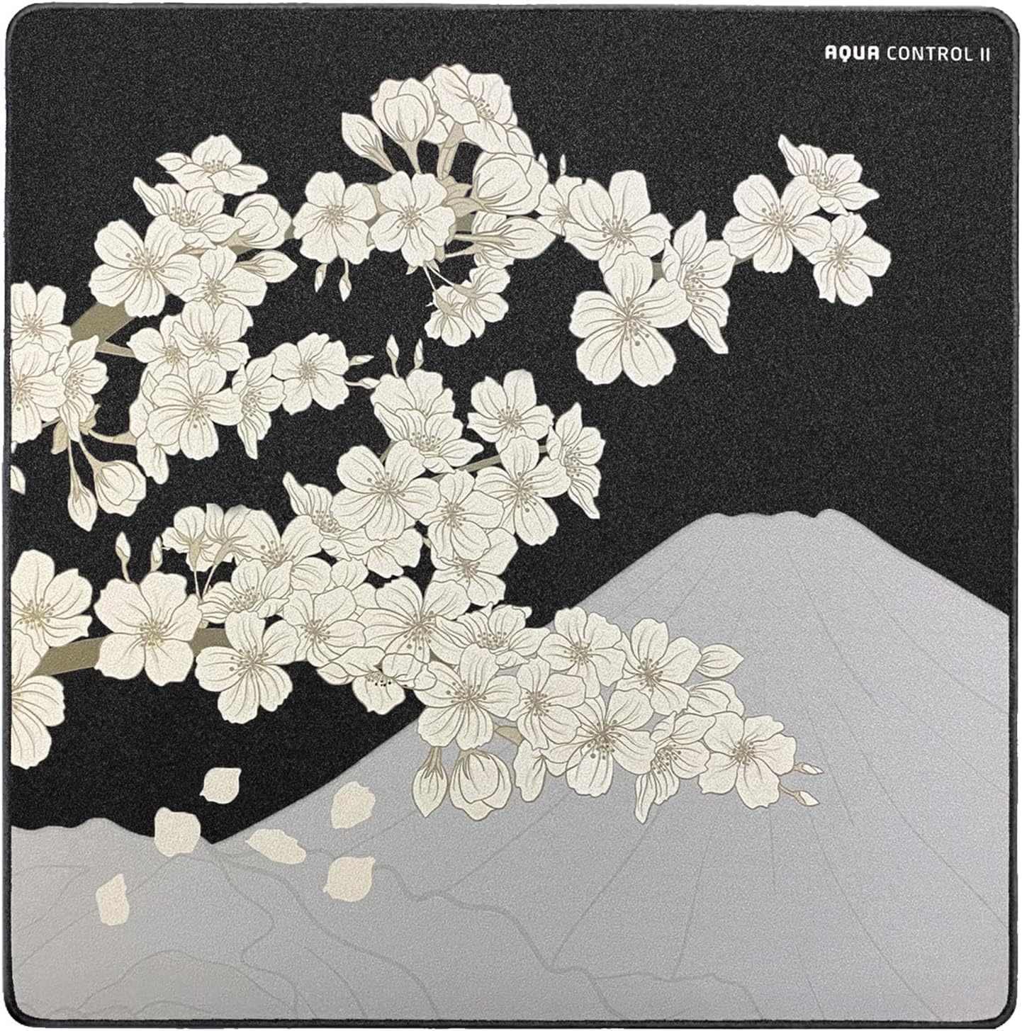 X-Raypad Aqua Control 2 Gaming Mouse Pad for Precision Control