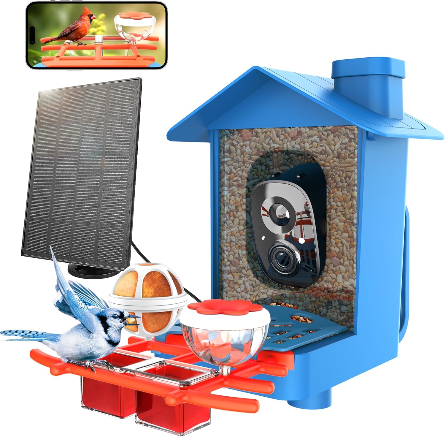 Rayki Smart Bird Feeder - 2K HD Live Stream & AI Identify