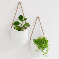 Wall Planters Ellie - Hanging Ceramic Plant Pots 2 Pieces - Matte