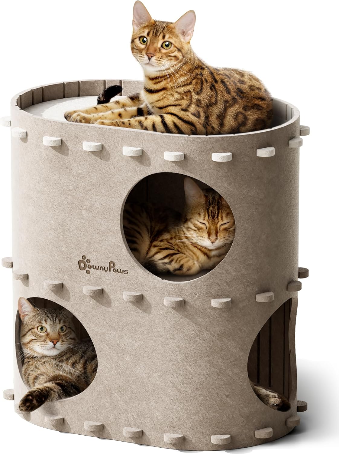 DownyPaws Cat House for Indoor Cats - Cozy Multi-Cat Haven