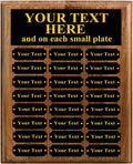 12 X 15 Perpetual Plaque Award with 24 Plates - Custom Engraved
