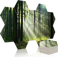 Art Acoustic Panels for Soundproofing and Room Aesthetics