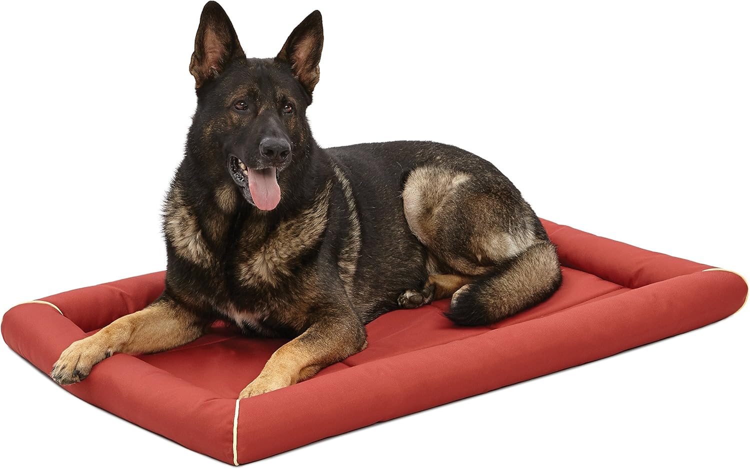 MidWest XL QuietTime MAXX Ultra-Rugged Dog Bed for Large Breeds