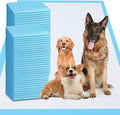 XXXXL Puppy Pee Pads for Dogs 31ftin x 47ftin 40 Count - Extra Large