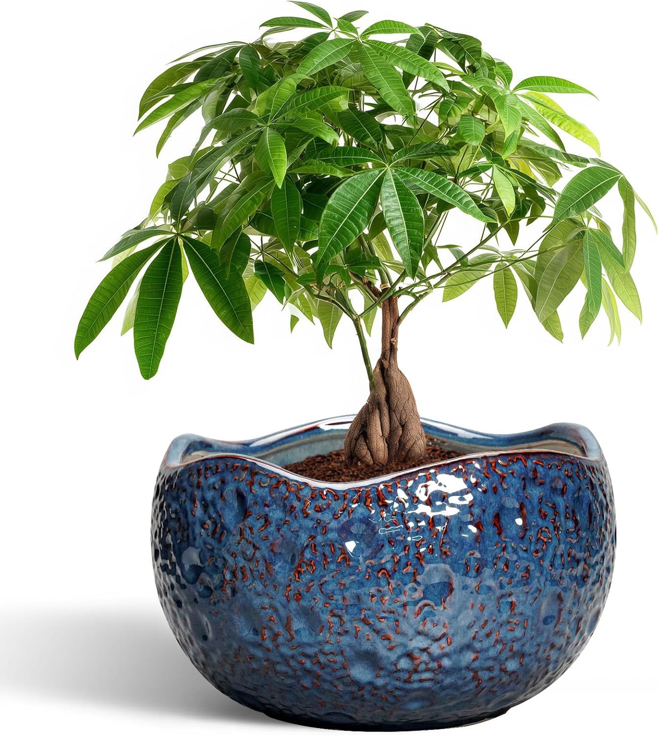 10 Inch Ceramic Plant Pot for Indoor Outdoor Use - Retro Blue