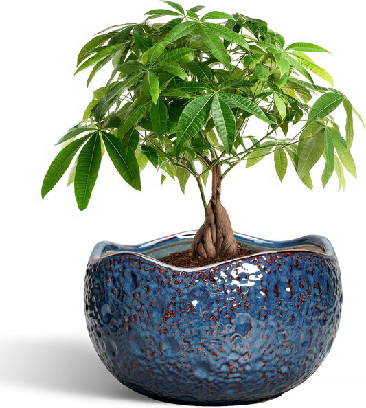 10 Inch Ceramic Plant Pot for Indoor Outdoor Use - Retro Blue