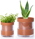 Phoenix Vine Self Watering Terracotta Planter Pots - Compact Indoor
