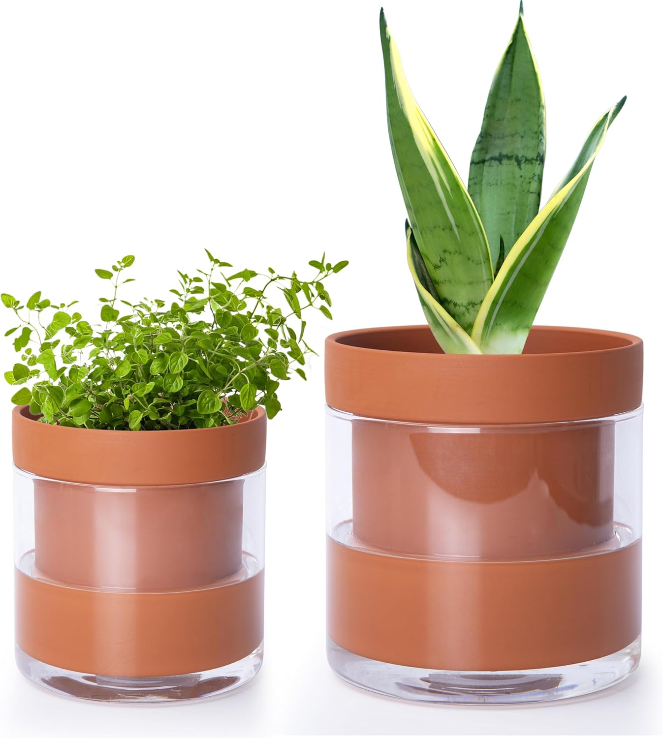 Self Watering Planter Pots for Indoor Plants by Phoenix Vine