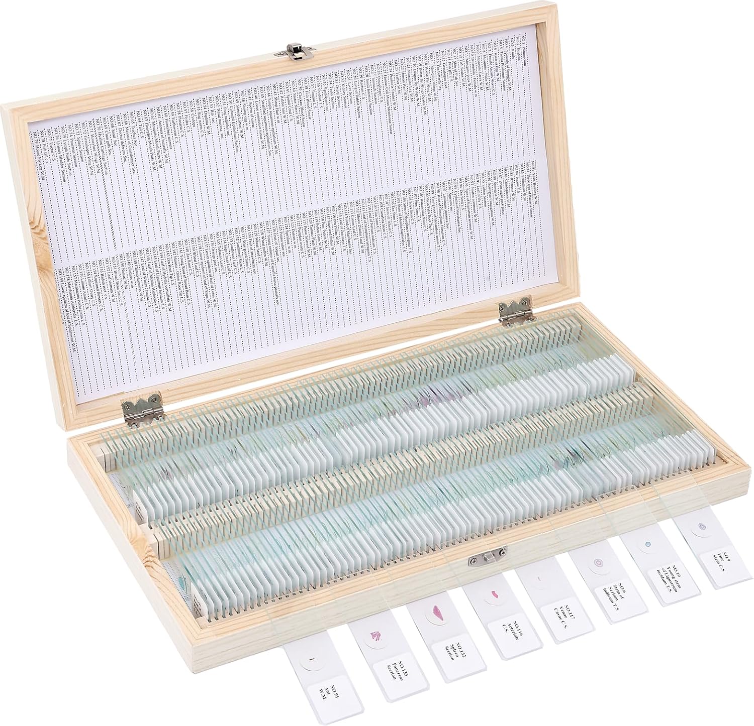 160-Pcs Microscope Slides with Specimens for Young Scientists