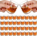 Mini Shot Glasses Set 36pc 2.7 oz Clear - Compact Tasting Glasses