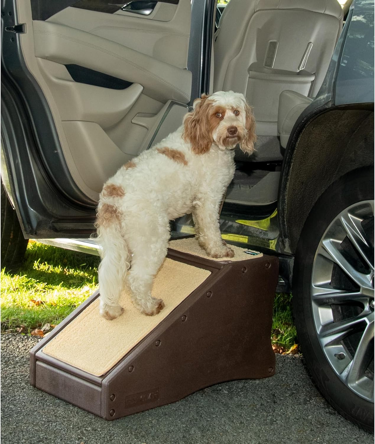 Pet Gear Stramp Stair and Ramp Combination for Easy Pet Access