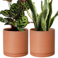 D'vine Dev Medium 8 in Terracotta Planter Pot - Minimalist Indoor Set