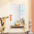 Hasipu Home Gym Mirror 55in L x 17in W - Large Full Body Mirror