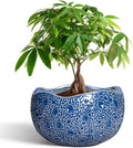 10 Inch Plant Pot Ceramic Planter - Modern Blue Moon Design