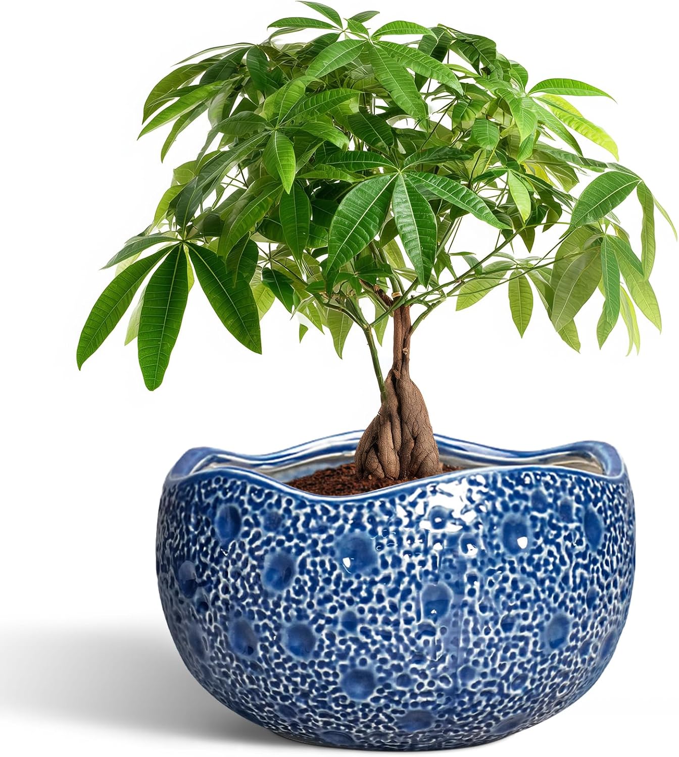 10 Inch Ceramic Plant Pot with Drainage for Indoor Outdoor Use